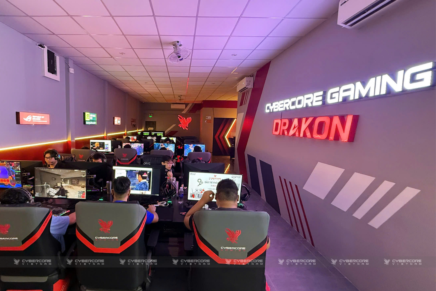 cbc-gaming-drakon (22)